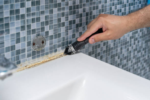 Evergreen Park, IL Mold Remediation Company