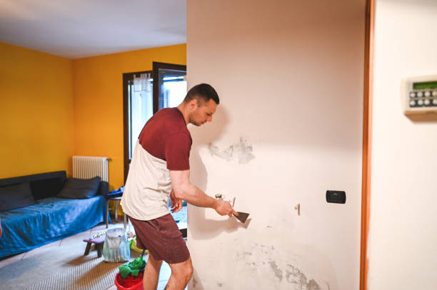 Best Basement Mold Remediation in Evergreen Park, IL